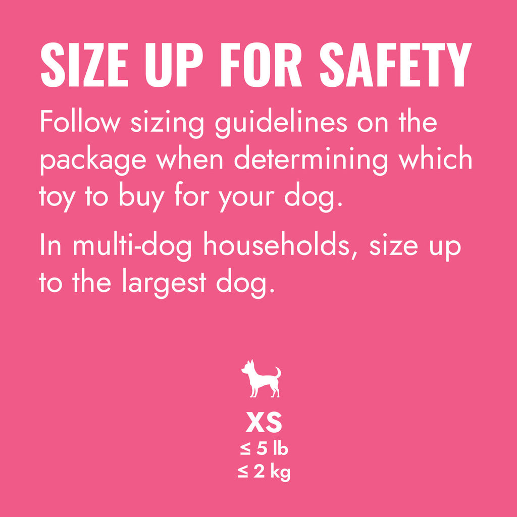 KONG Puppy Goodie Bone w/ Rope Pink