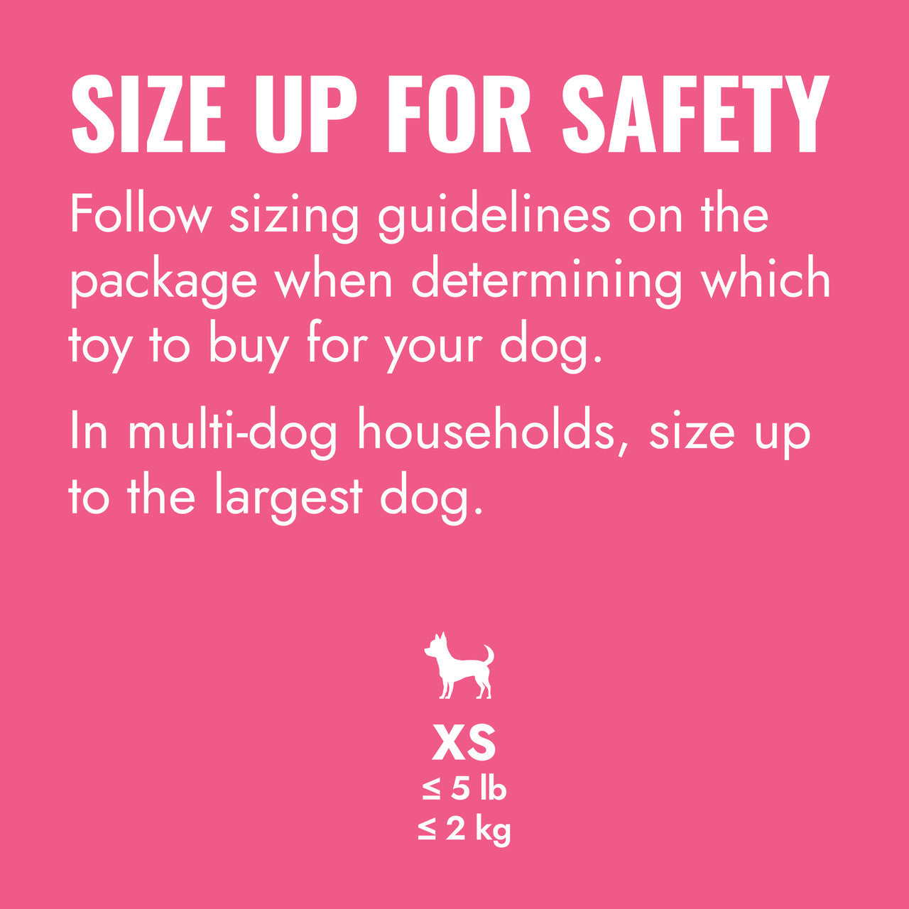 KONG Puppy Goodie Bone w/ Rope Pink