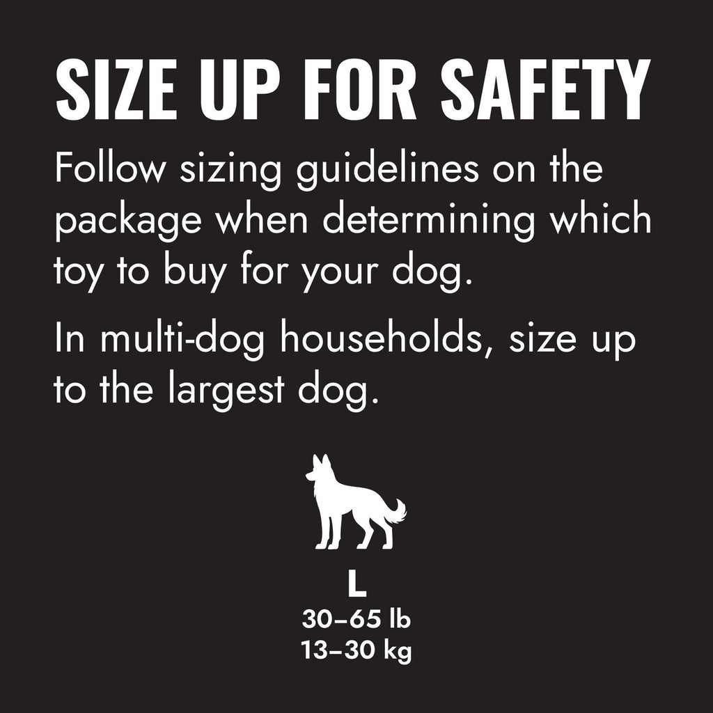 KONG Extreme Ball w/Rope