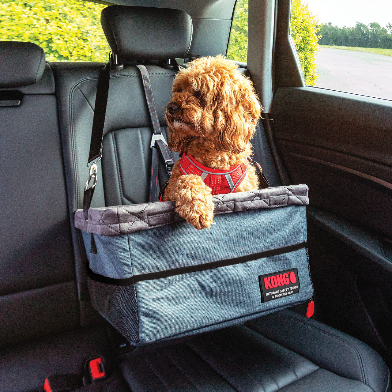 KONG Ult Sfty Tether/Booster