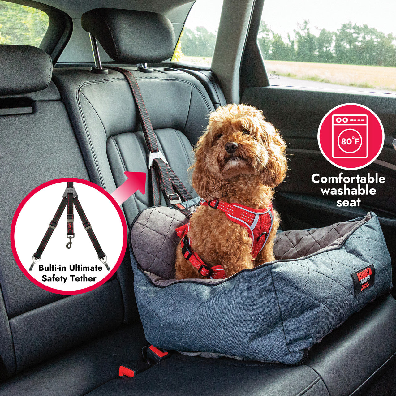 KONG Ultimate Safety Tether and Seat, Small