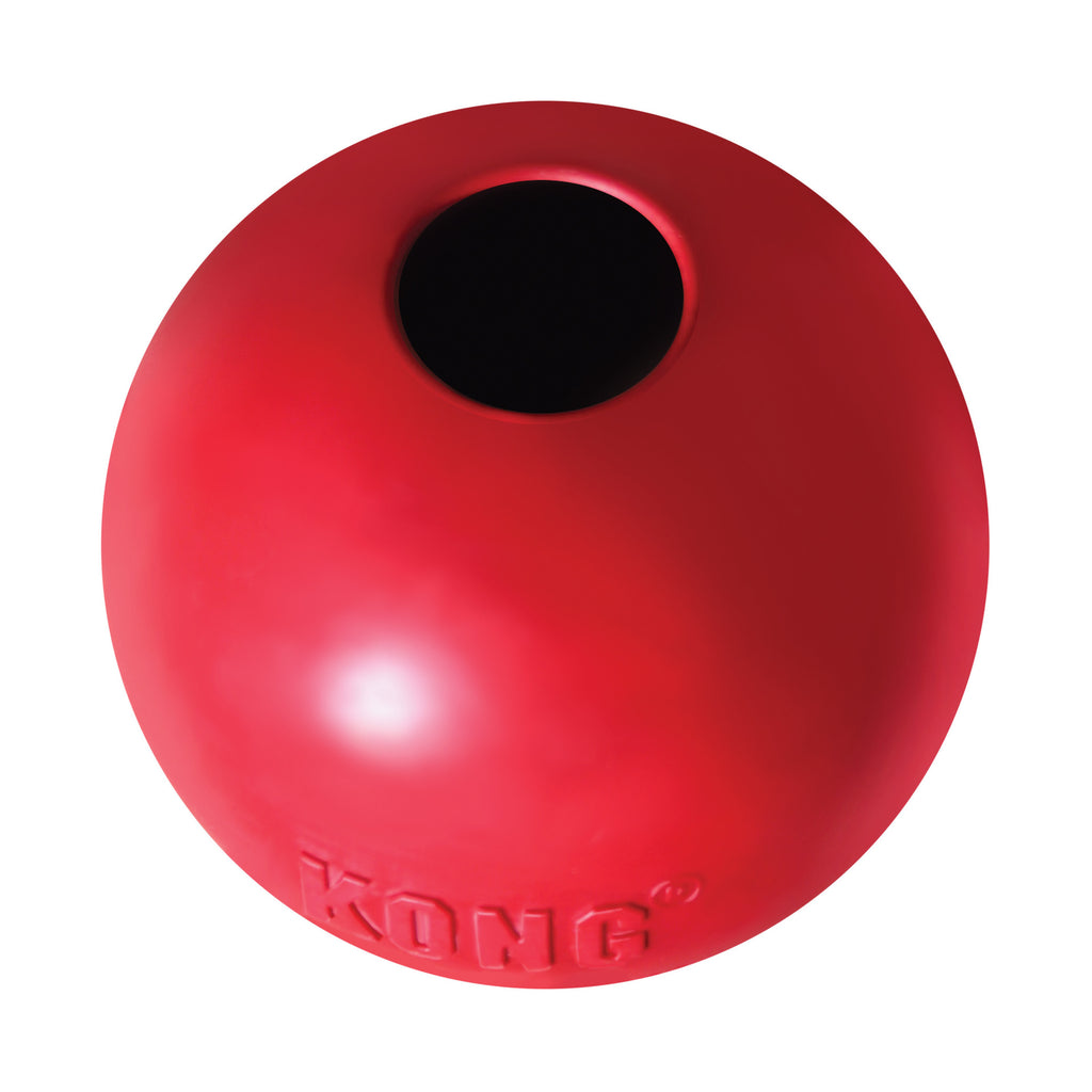 KONG Ball w/Hole