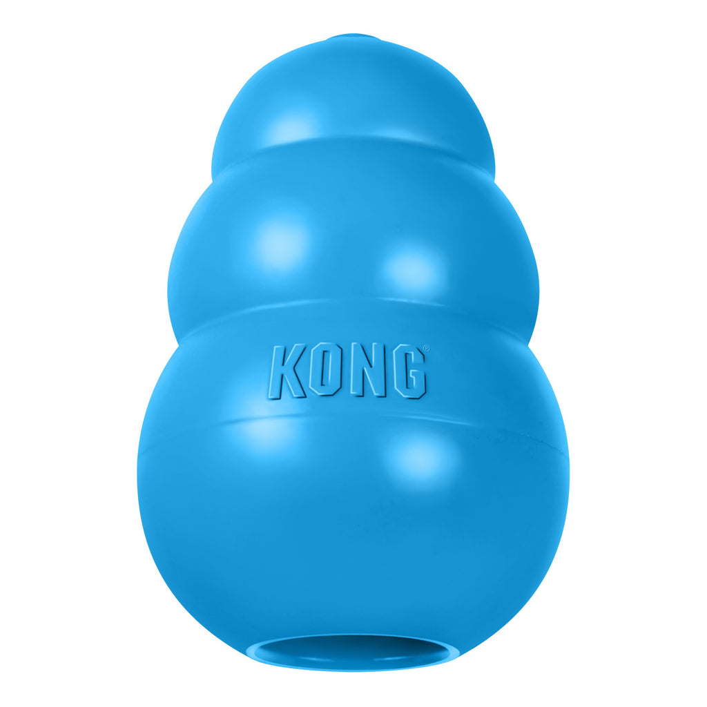 KONG Puppy Blue