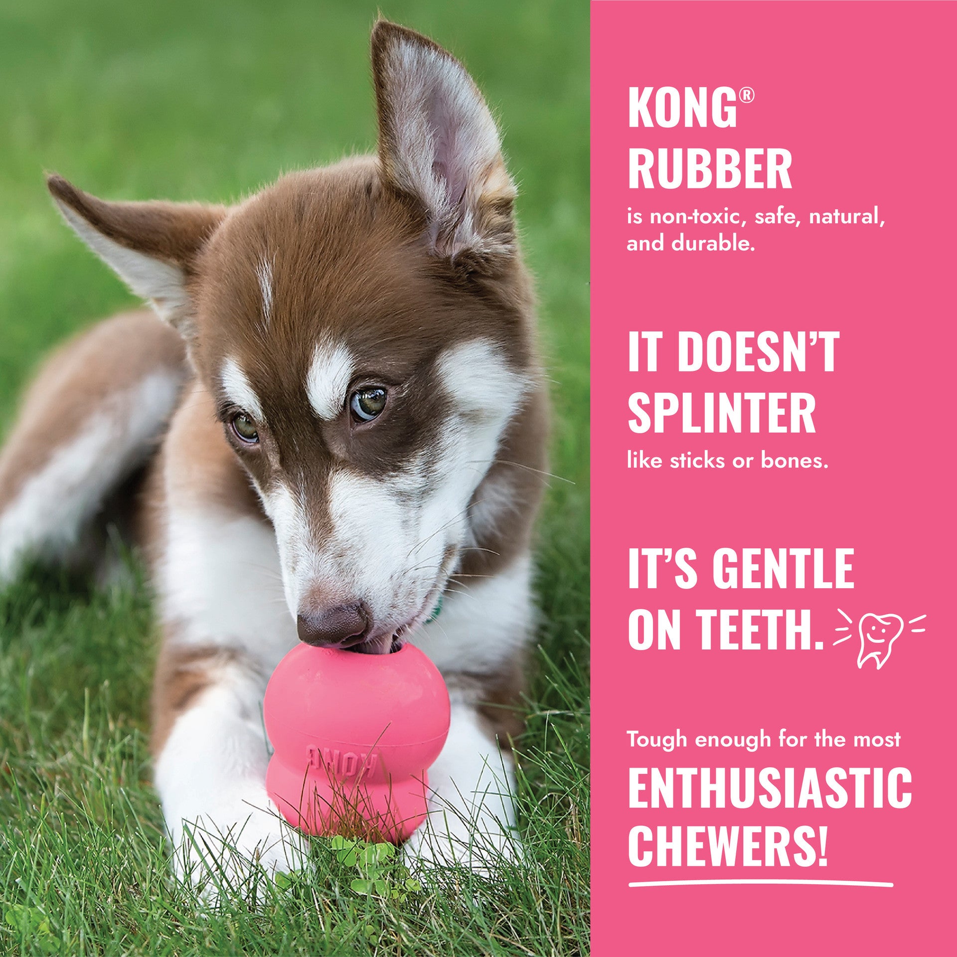 KONG Puppy Pink