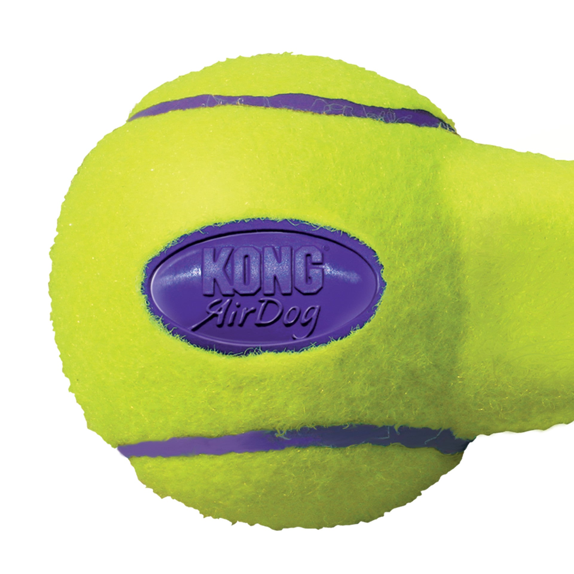 AirDog Squeaker Dumbbell