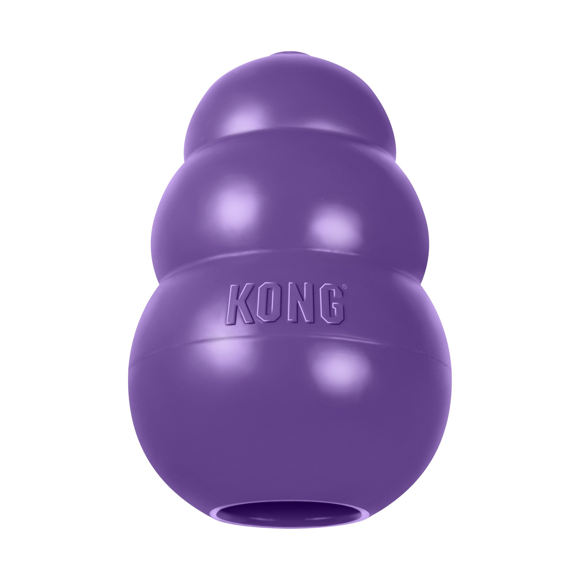 KONG Senior
