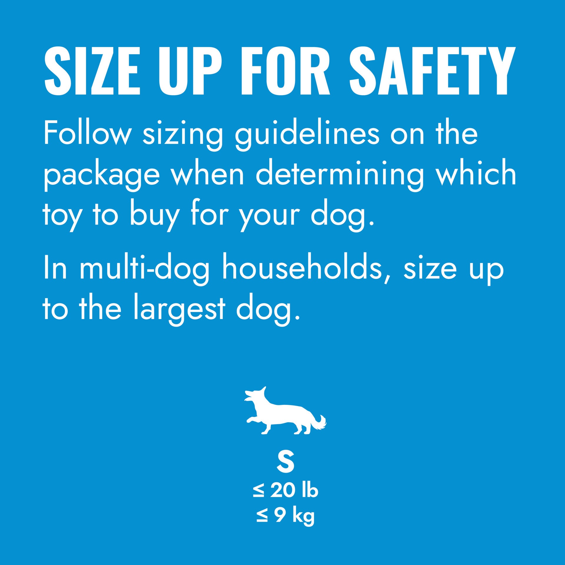 KONG Puppy Flyer, Blue