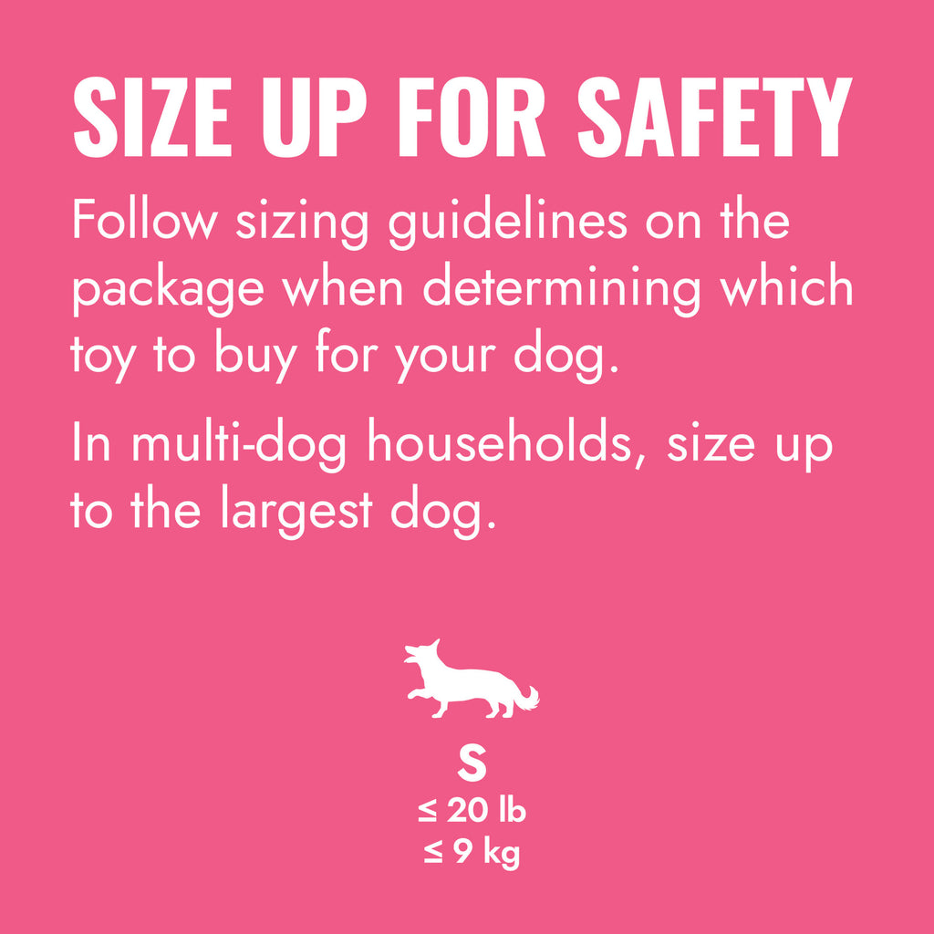 KONG Puppy Flyer, Pink