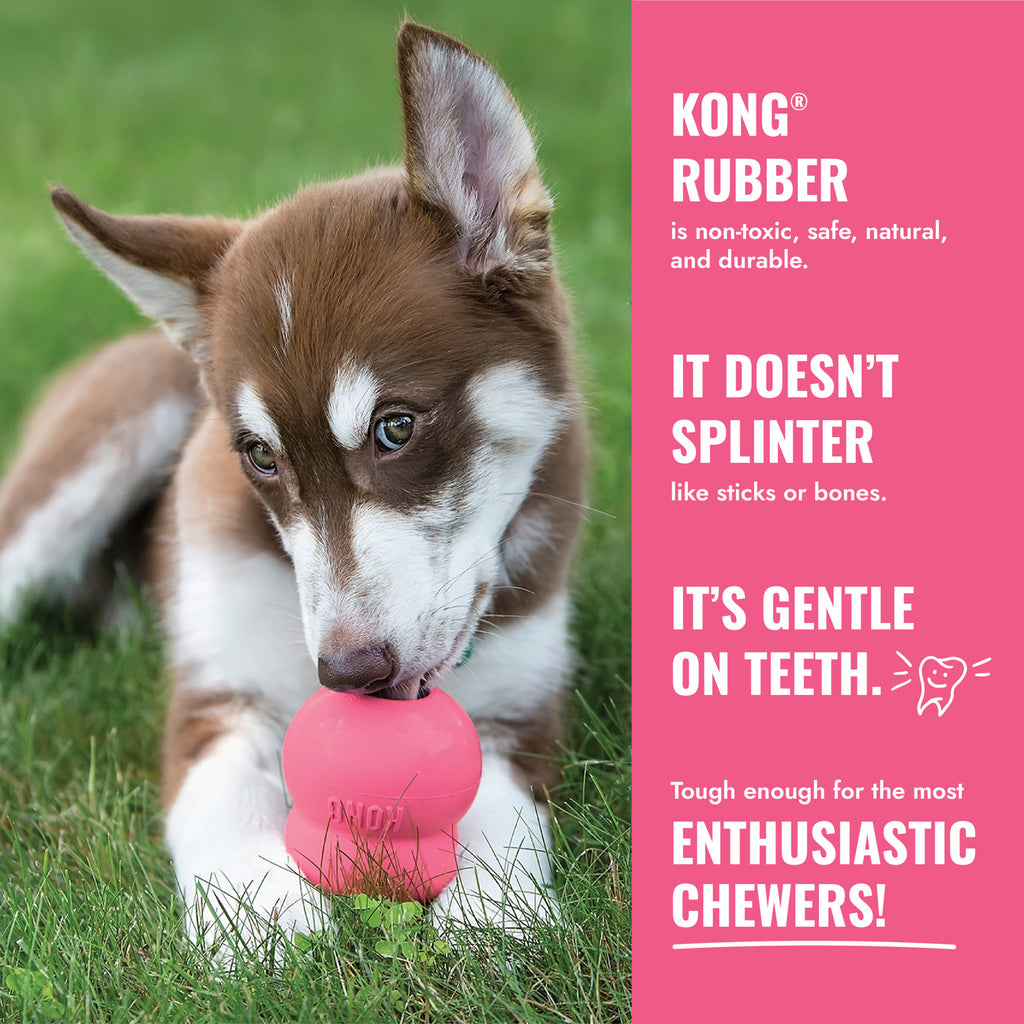 KONG Puppy Flyer, Pink