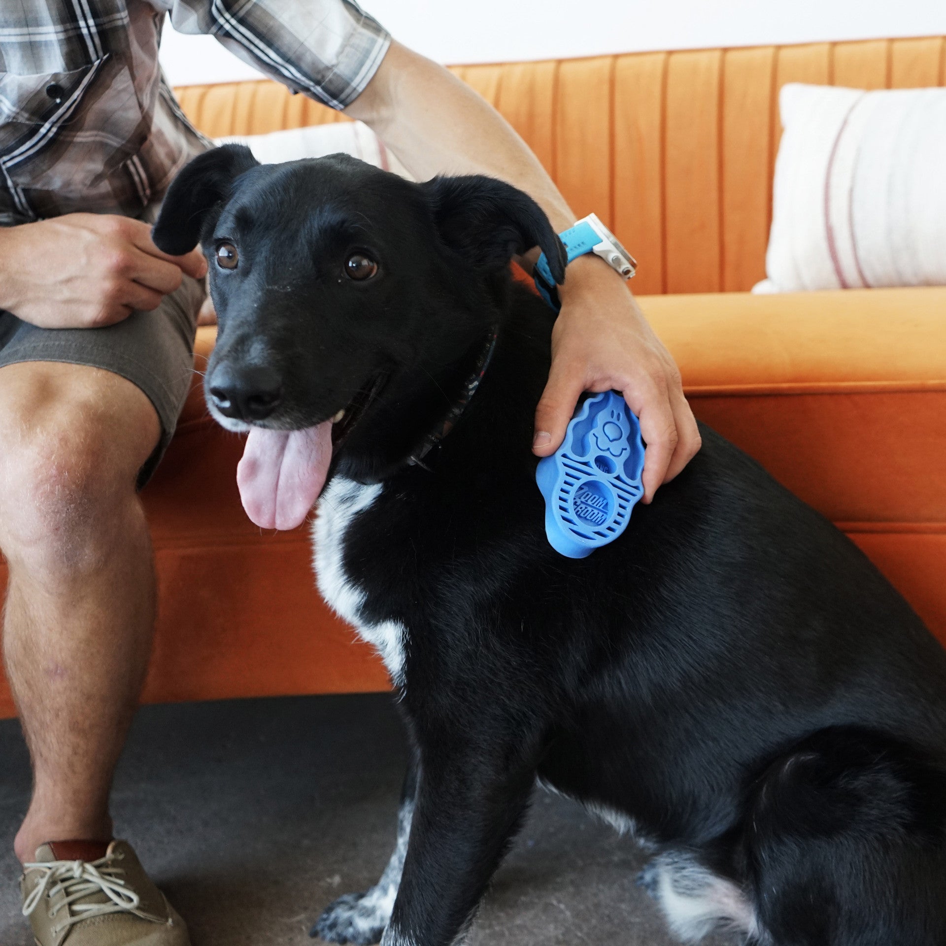 ZoomGroom Boysenberry