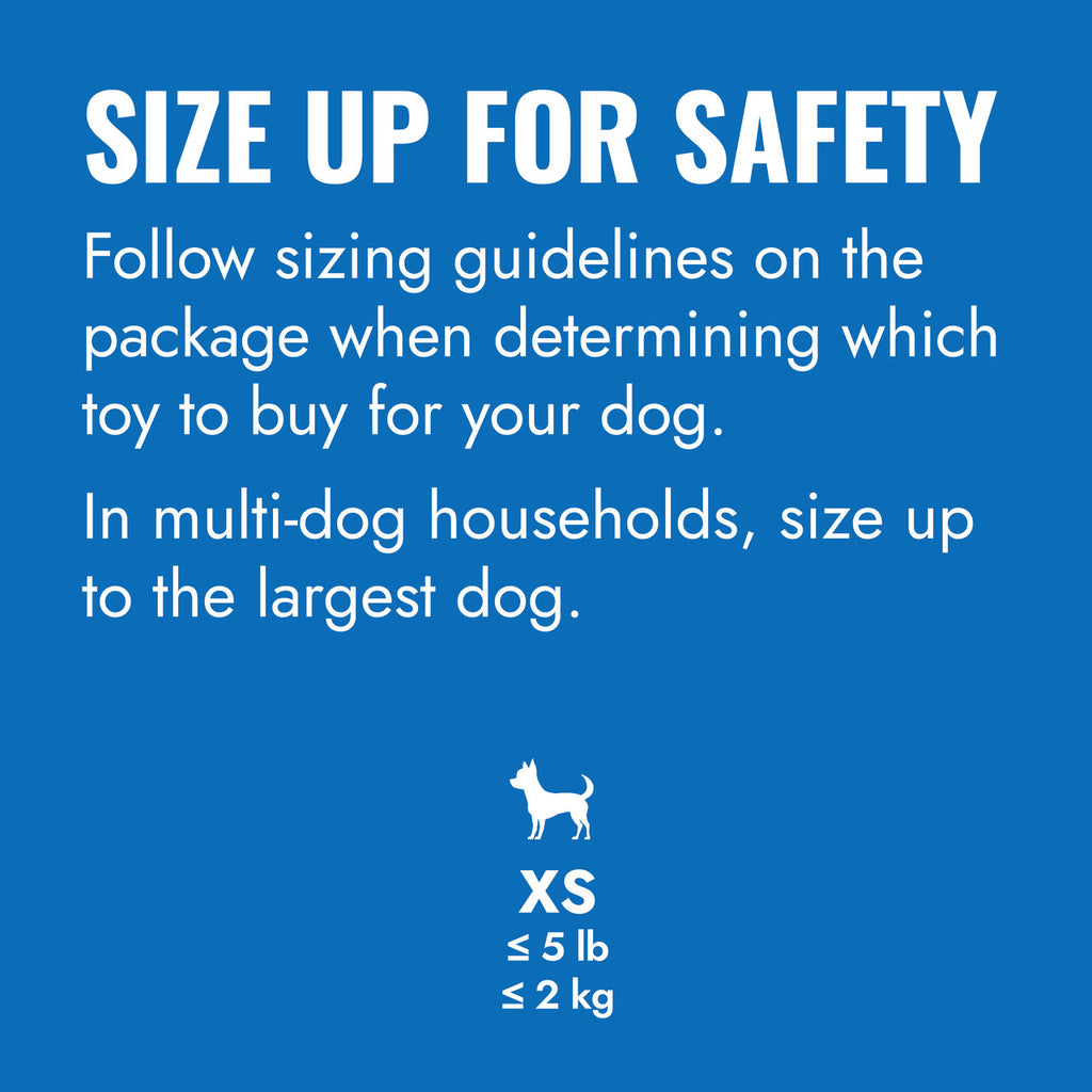 KONG Puppy Goodie Bone w/ Rope Blue