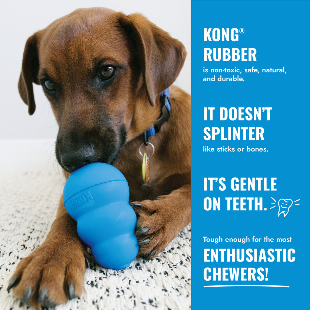 KONG Puppy Goodie Bone w/ Rope Blue