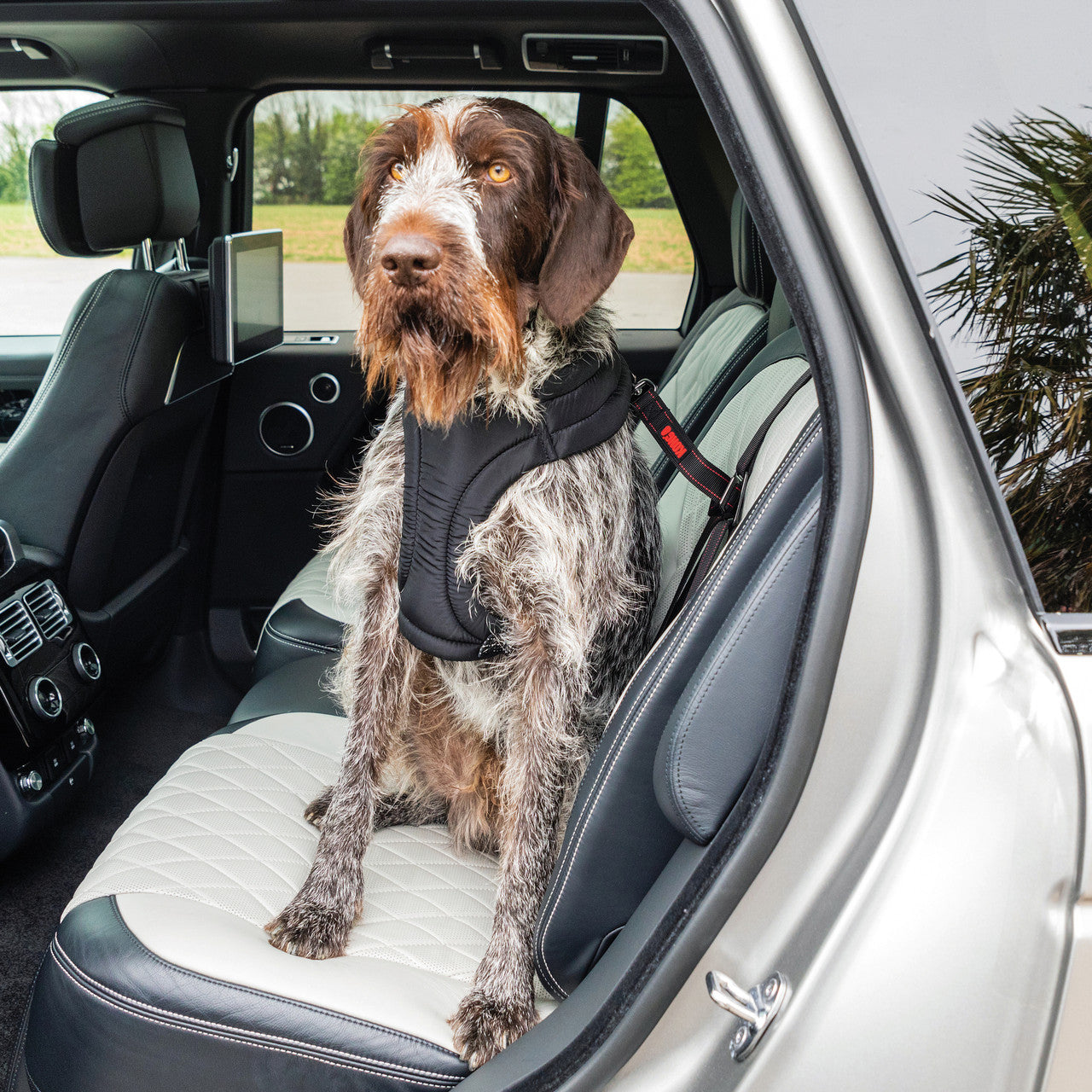 KONG Ultimate Safety Tether