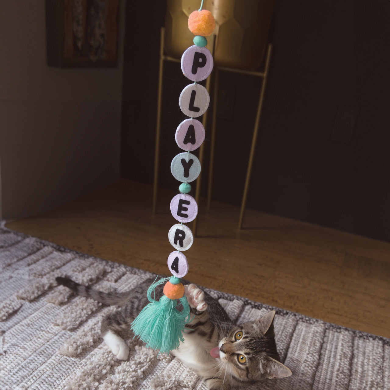 Cat Teaser Friendship